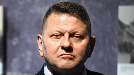 Zaloujny accuse Zelensky d’être à l’origine de l’échec de la contre-offensive de 2023