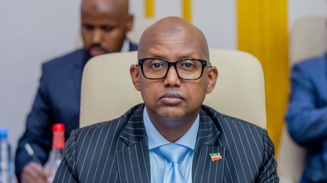 Un ministre du Somaliland propose l’accès à ses minéraux et à ses bases militaires aux États-Unis