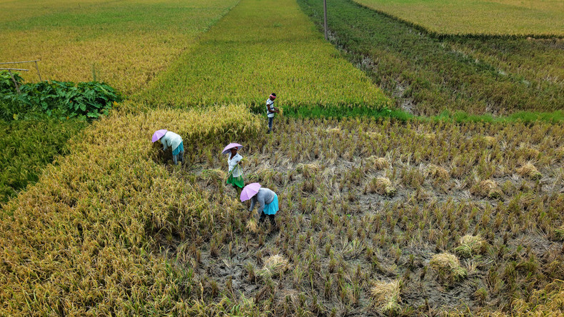 Engrais : l’Inde se tourne vers la Russie et le Maroc comme alternatives stratégiques