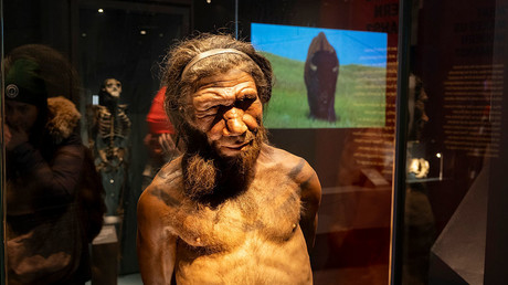 Des scientifiques recréent les langues disparues des Néandertaliens