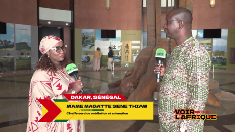 Le musée des civilisations noires