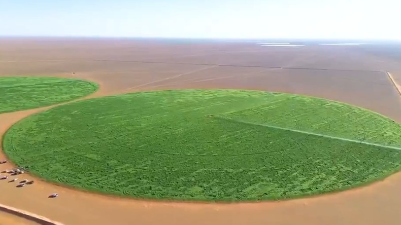 Le projet de mégaferme Baladna prend forme dans le désert algérien