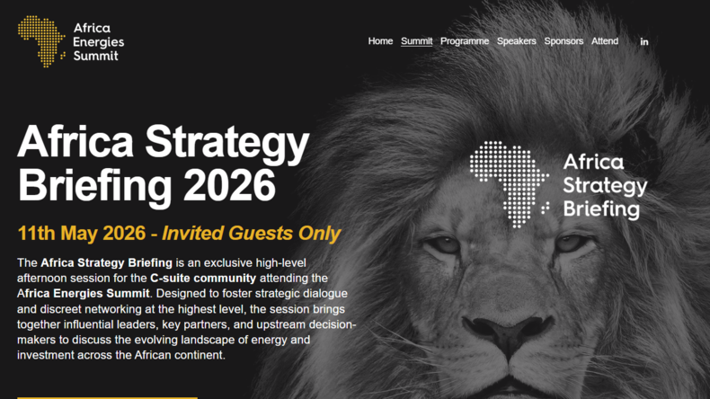 Après le Mozambique, le Ghana boycotte un sommet énergétique qui se veut africain à Londres