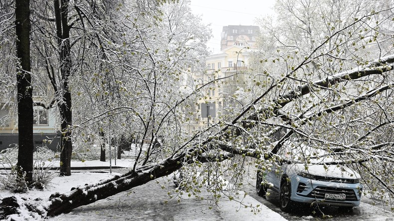 Arbres déracinés et verglas : Moscou subit une tempête de neige sans précédent en avril (VIDÉOS)
