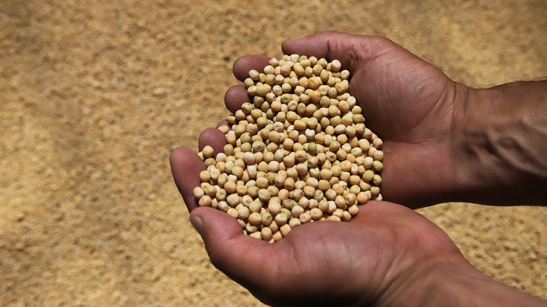 Aide humanitaire : la Russie expédie 770 tonnes de pois cassés au Mali