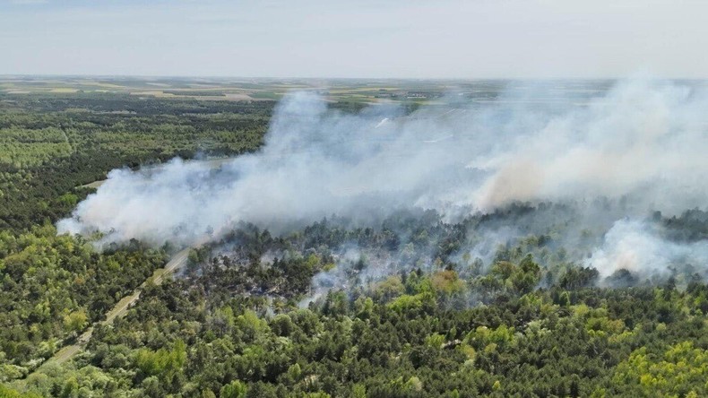 France : incendie sur le camp militaire de Suippes avant la visite d’Emmanuel Macron