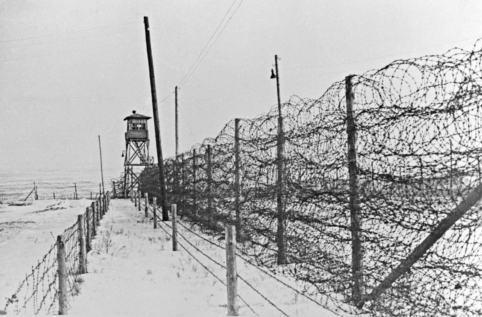 «Ces crimes sont imprescriptibles» : la Russie commémore les millions de victimes du génocide nazi perpétré en URSS