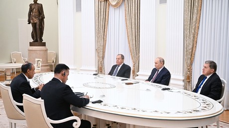 Vladimir Poutine propose un hub énergétique et céréalier en Égypte