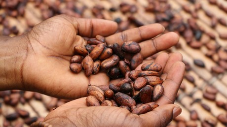 Cacao en chute, chocolat en hausse : les marges des industriels creusent le fossé avec les producteurs