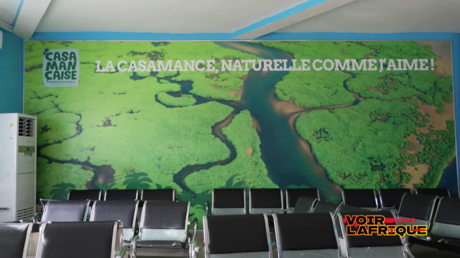 Casamance, l’avenir en vert