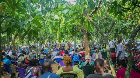 Ghana : des fonds publics détournés pour alimenter la contrebande de cacao