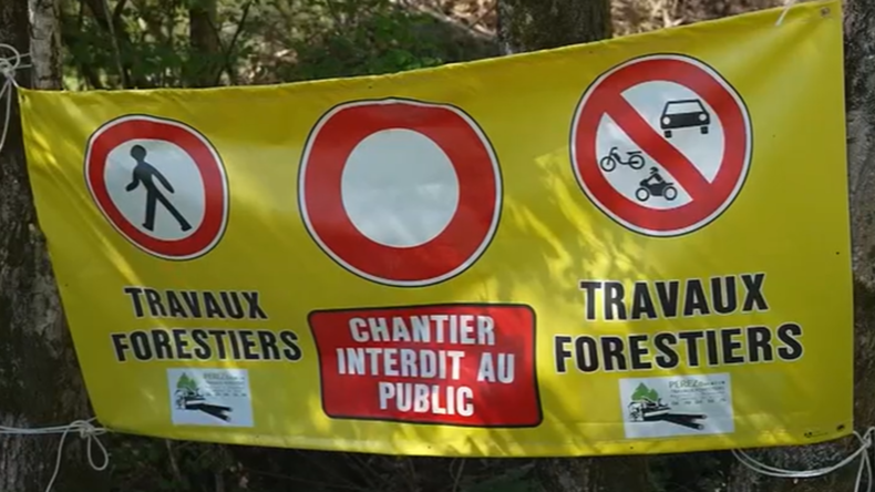 Abattage de 800 arbres sur le Tour de France : le directeur de l'organisation invoque la sécurité