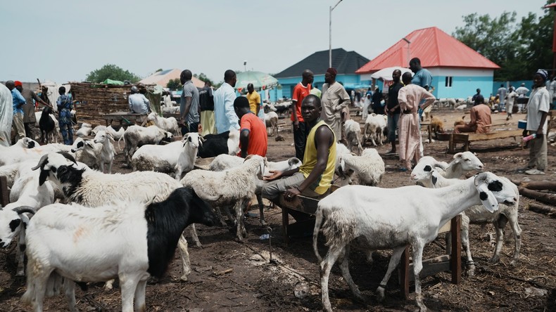 Aïd al-Adha 2026 en Afrique : entre célébrations religieuses, crise économique et tensions sécuritaires