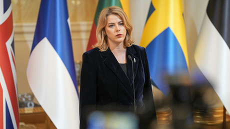 Drones ukrainiens : la crise politique secoue les pays baltes