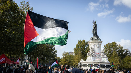France : la procédure d’expulsion de Ramy Shaath ravive le débat sur la liberté d’expression