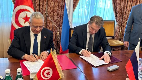 Santé : Moscou et Tunis élargissent leur coopération scientifique et médicale