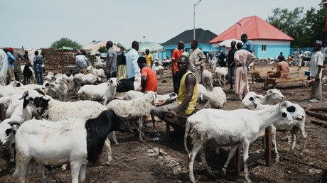 Aïd al-Adha 2026 en Afrique : entre célébrations religieuses, crise économique et tensions sécuritaires
