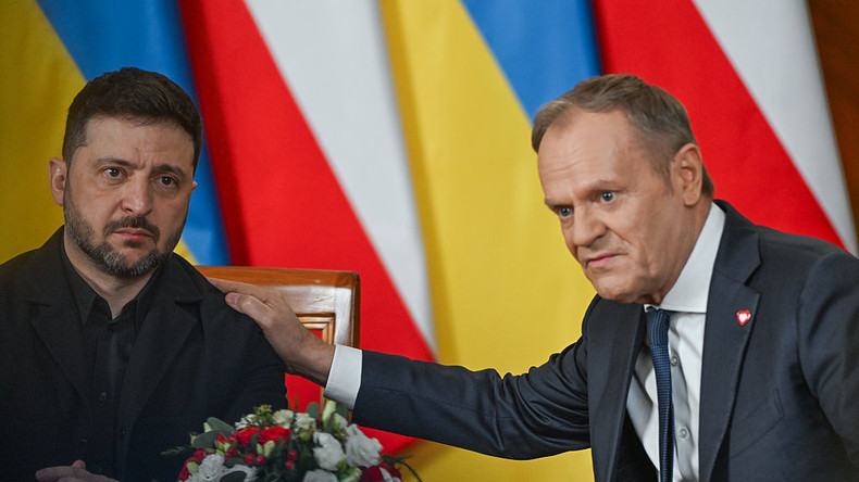 Sans Zelensky, Donald Tusk espère une conférence encore plus sereine à Gdansk