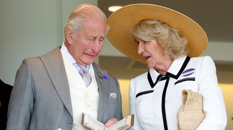 Par souci de «clarté et d’accessibilité», la fiche d’impôts du roi Charles III bientôt publiée