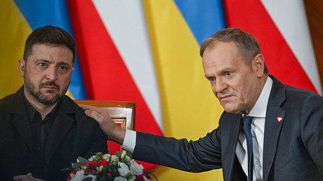 Sans Zelensky, Donald Tusk espère une conférence encore plus sereine à Gdansk