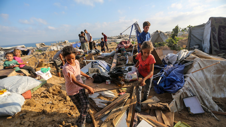 Gaza : prolifération des rats, nouveau symbole d’une catastrophe humanitaire