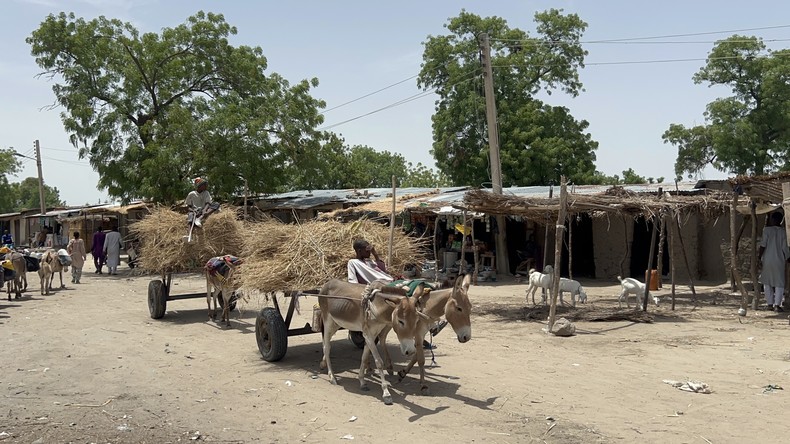 Nigeria : 37 élèves enlevés par des djihadistes à Lassa