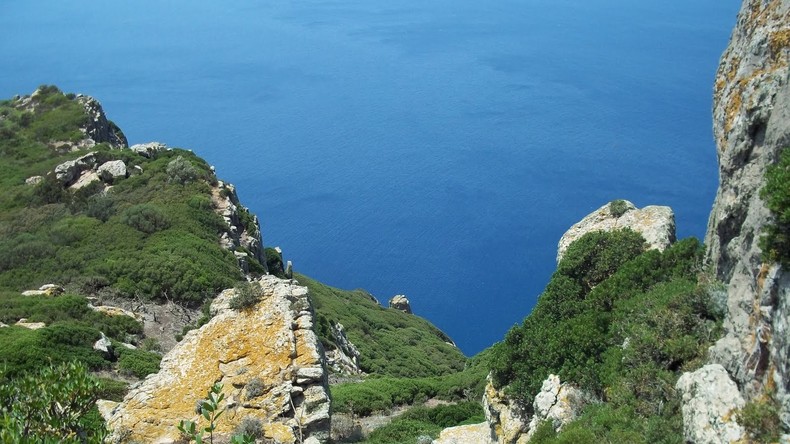 Tunisie : vers la création des premières réserves naturelles marines