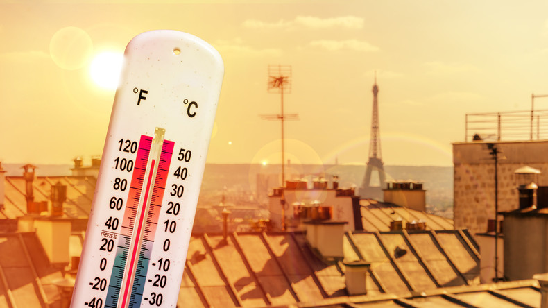 Canicule en France : près de 9 000 décès recensés en une semaine