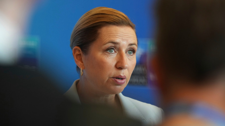 Sommet de l’OTAN : «le Groenland n’est pas à vendre», répète la Première ministre danoise