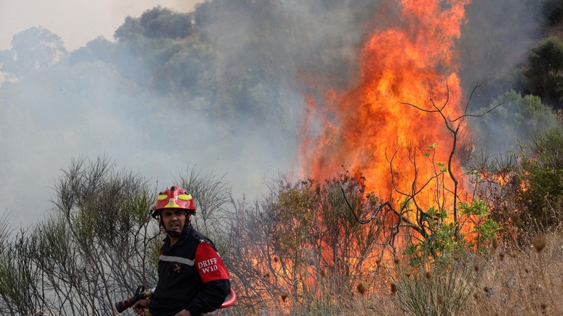 Algérie : au moins 11 morts dans l’incendie d’un orphelinat près d’Alger