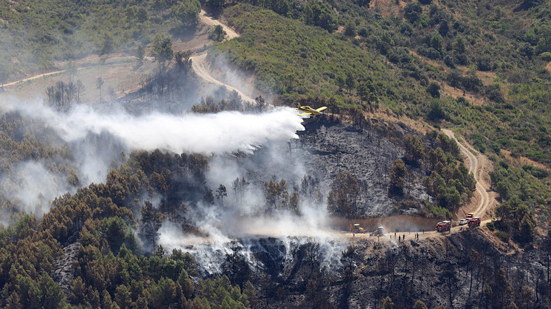 Algérie : 913 incendies éteints en une semaine