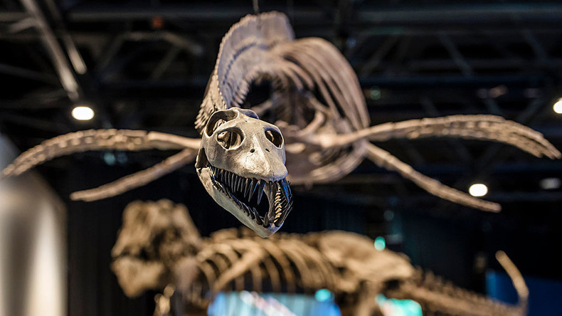 Les fossiles de dinosaures deviennent le nouvel investissement des ultra-riches