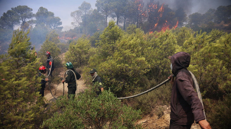 Algérie : les incendies enfin maîtrisés après vingt jours de lutte