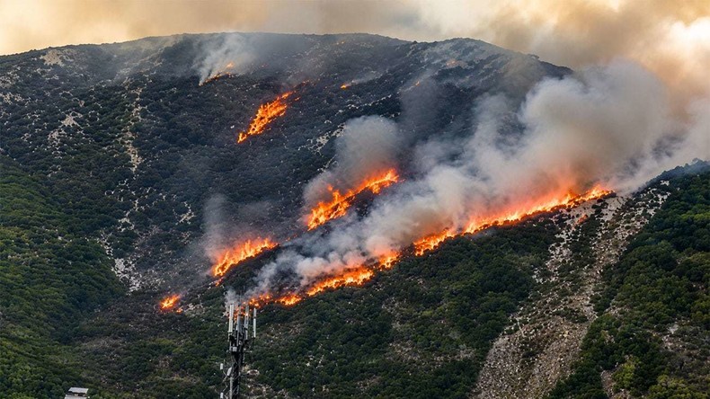 Incendies en Tunisie : près de 12 000 hectares de forêts détruits depuis le début de l’été