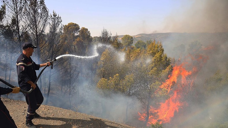 Algérie : les feux de forêt reprennent après seulement deux jours d’accalmie