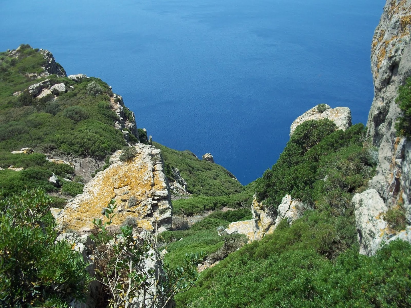 Tunisie : vers la création des premières réserves naturelles marines