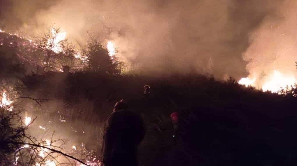 Algérie : les autorités mobilisent les grands moyens dans la lutte contre les feux de forêt