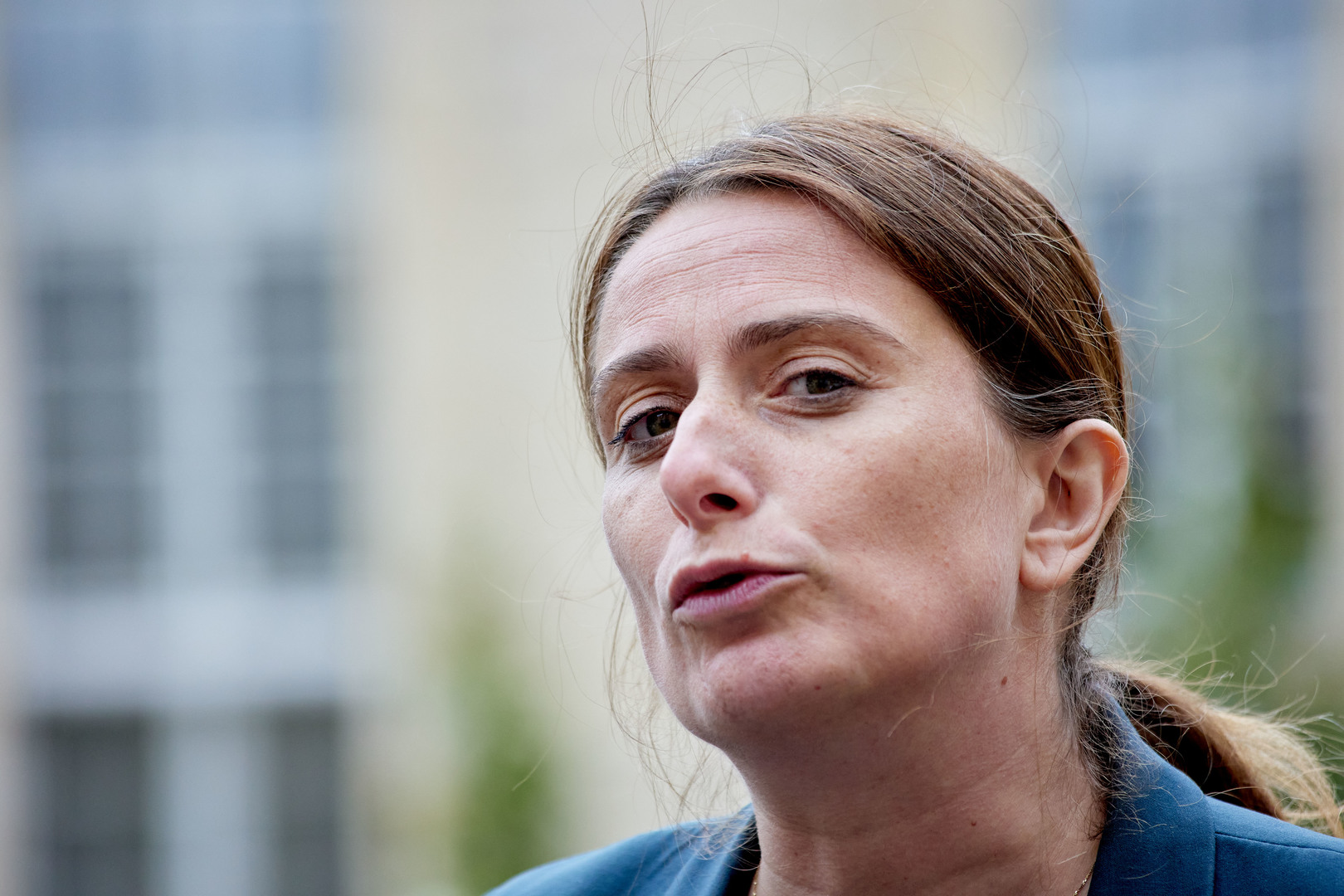 «TVA verte», ISF climatique et «contribution fiscale» des expatriés : les Écologistes français présentent leur programme pour 2027