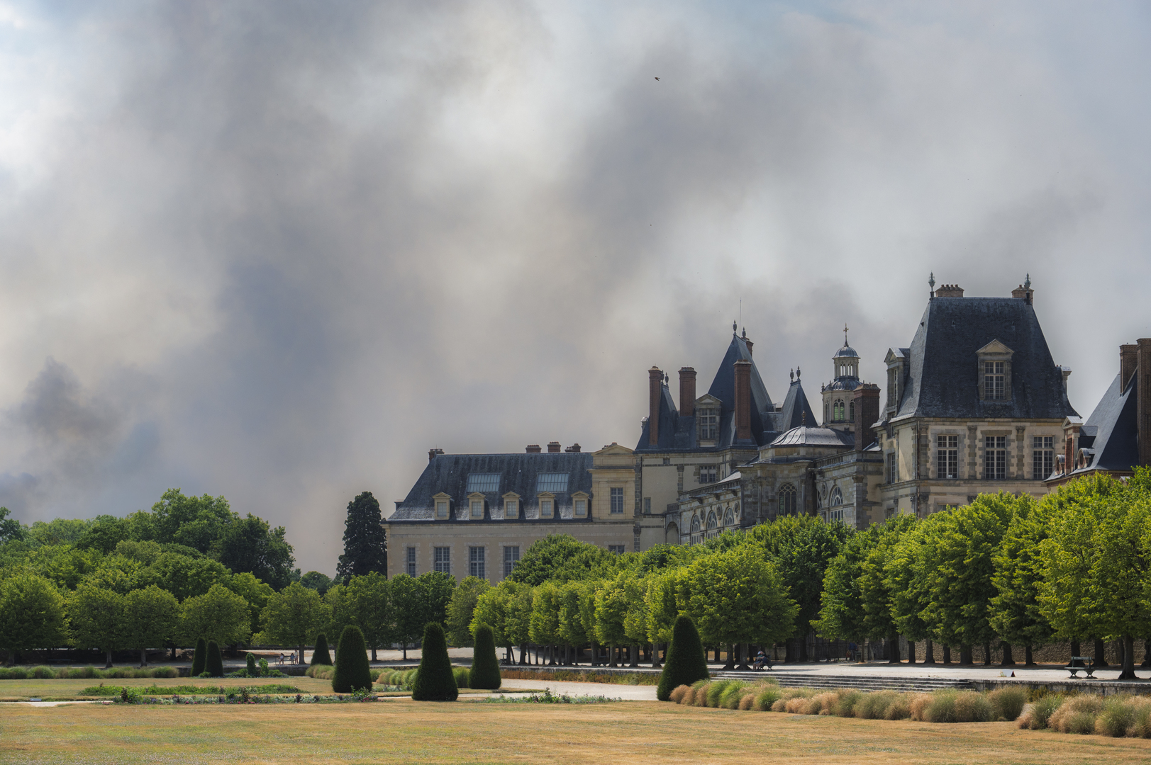 Incendies fixés aux portes de Paris : bilan tragique pour la France