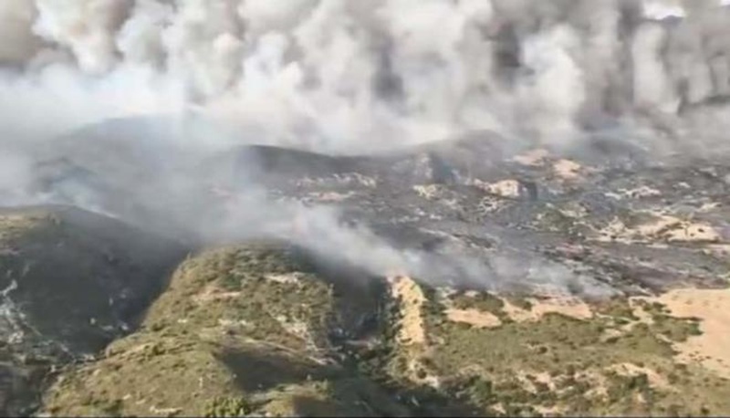 Tunisie : des feux de forêt maîtrisés dans cinq gouvernorats sur fond de chaleur extrême