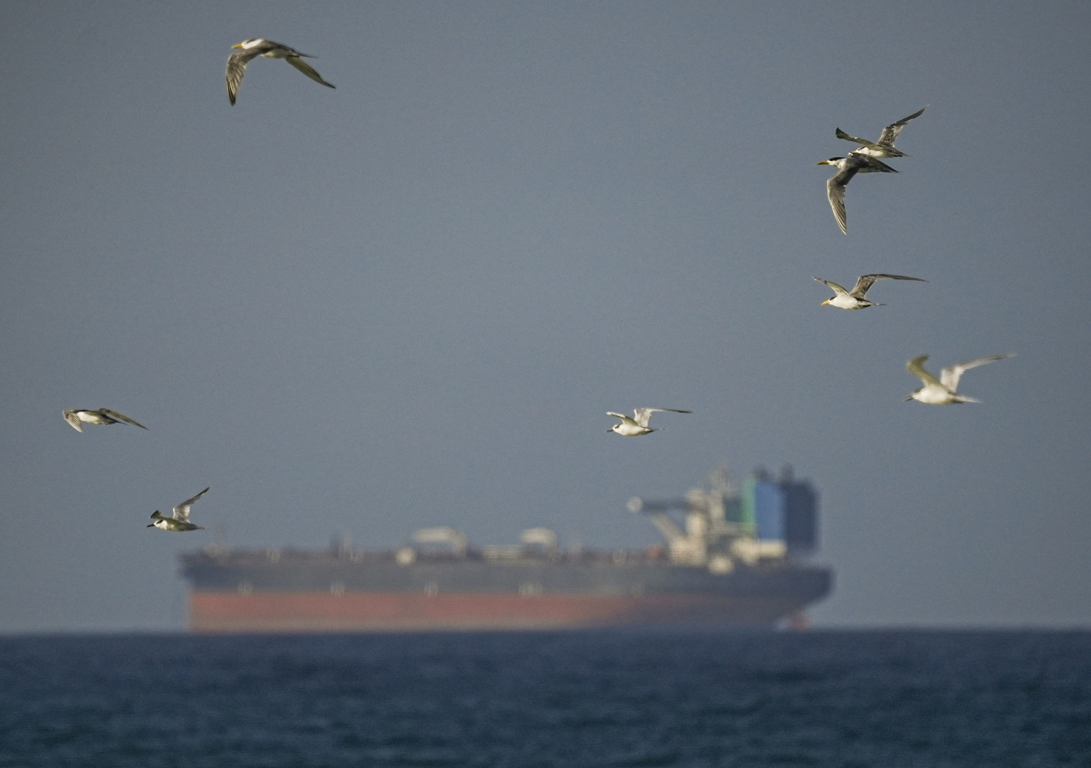 Approvisionnement en pétrole : «soit tout le monde, soit personne!», avertit le président du Parlement iranien