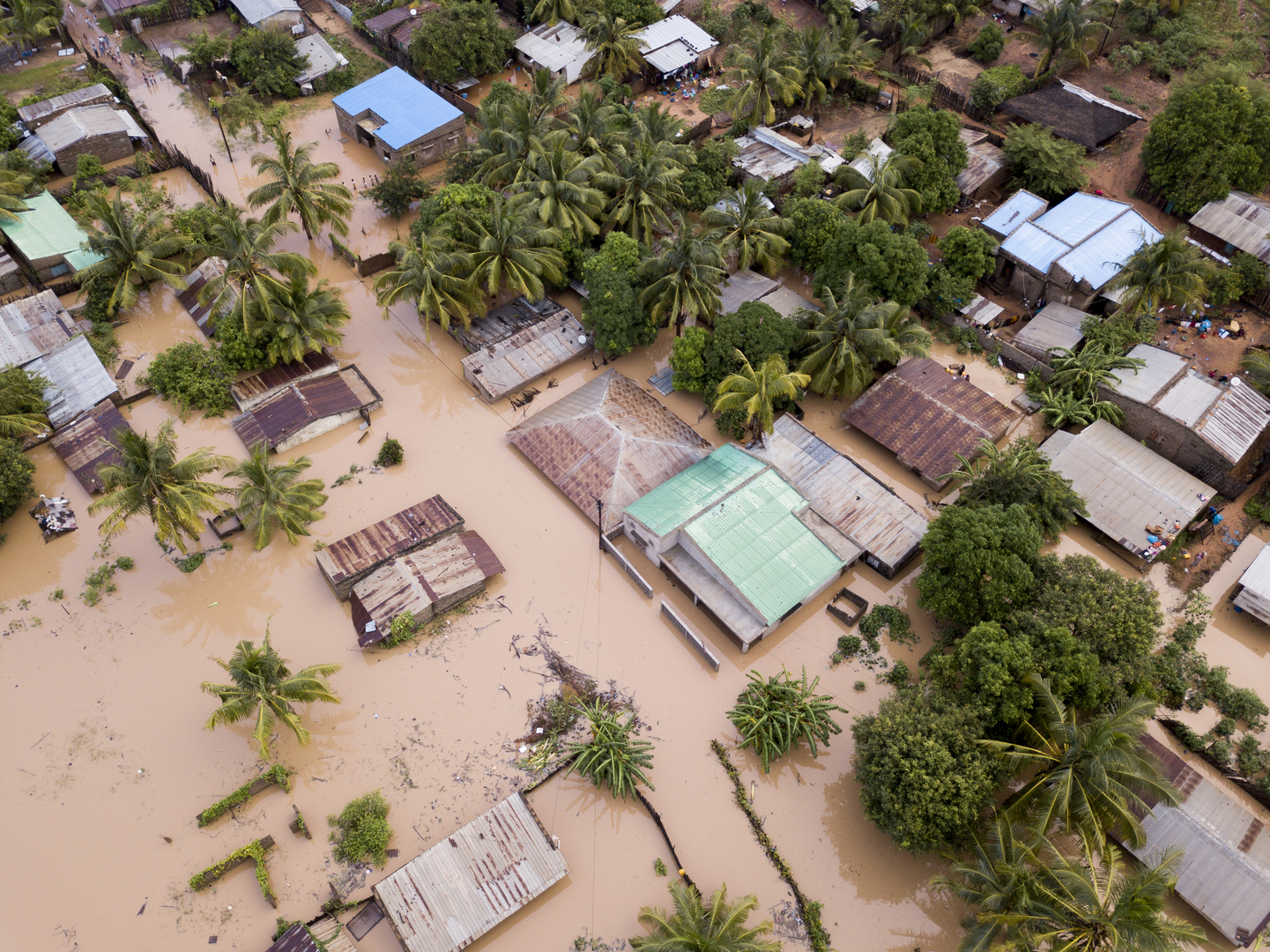 El Niño en Afrique : jusqu’à 20 milliards de dollars de dégâts et des migrations massives redoutées