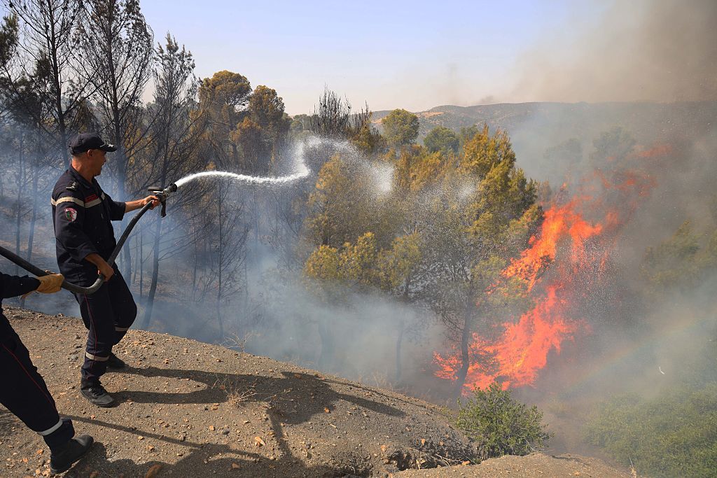Algérie : les feux de forêt reprennent après seulement deux jours d’accalmie