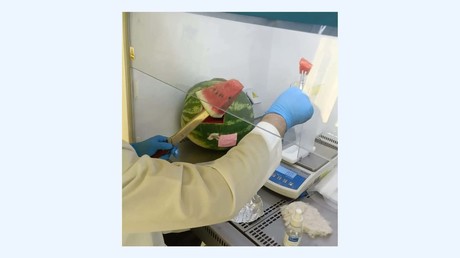 Algérie : les analyses officielles écartent tout risque sanitaire lié à la pastèque