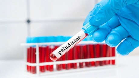 RDC : Médecins sans frontières alerte sur le risque de perdre des financements destinés à la lutte contre le paludisme au Nord-Kivu