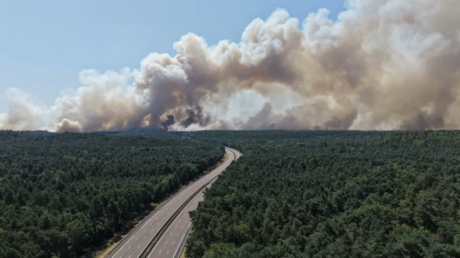 Incendies en France : à Fontainebleau, un pompier volontaire reconnaît son implication
