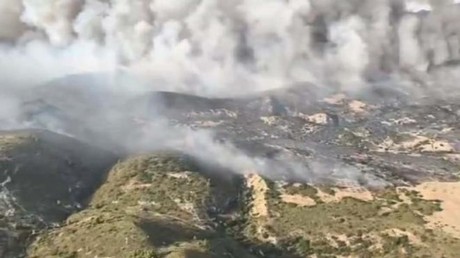 Tunisie : des feux de forêt maîtrisés dans cinq gouvernorats sur fond de chaleur extrême