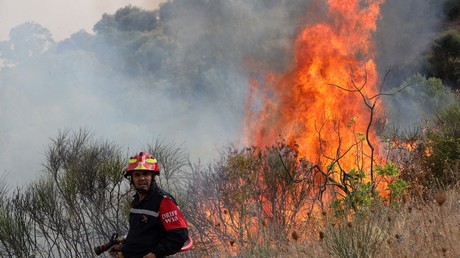Algérie : au moins 11 morts dans l’incendie d’un orphelinat près d’Alger