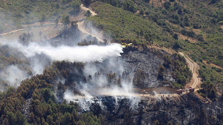 Algérie : 913 incendies éteints en une semaine