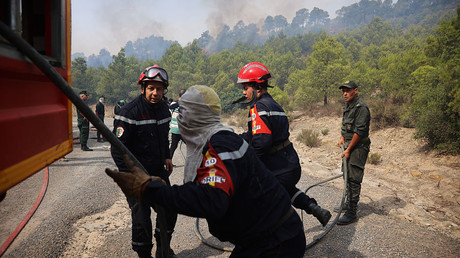 Incendies en Algérie : entre mobilisation des secours et traque des pyromanes